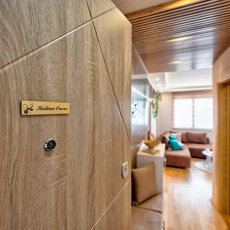 Kalina Onore Apartment Zlatibor